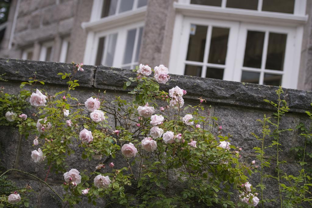 Bed and Breakfast Lys-Na-Greyne Aboyne Exteriér fotografie